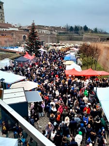 ACASA 20251201 150508